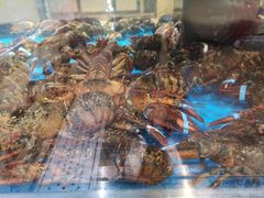 -盒马鲜生(枣园路店)