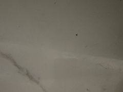 -绝味鸭脖(水碾河店)