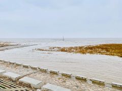 -南汇嘴观海公园