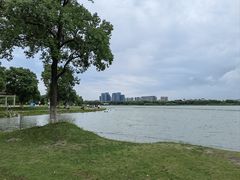 -西山漾湿地公园