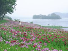 -东钱湖旅游度假区