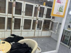 -爱洗澡的猫(天河路店)