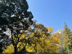 -青岛崂山太清宫