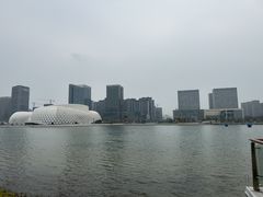 -金沙湖公园