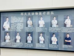 -邢大夫动物医院