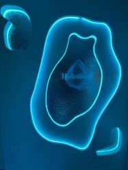 -海菲秀·飞顿牛奶光·LDM官方授权中心美轮美浣瓷感美肌