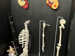 -TOP健身私教工作室(侨香店)