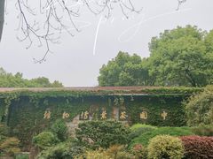-中国茶叶博物馆(双峰馆区)