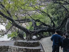 -抚仙湖禄充风景区