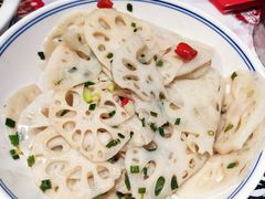 -壹盏灯(惠农店)