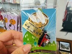 -岚山嵯峨野观光小火车