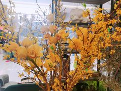 -PlantsEatery·植物食堂(REX春熙店)