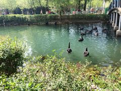 -长白岛森林公园