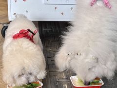 -蜀大侠火锅(春熙路店)