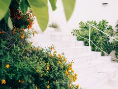 -濑长岛