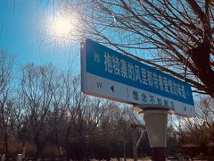 -抱犊寨风景区