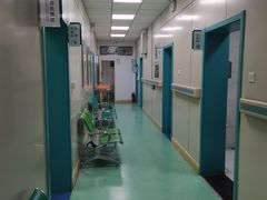 -北京观赏动物医院·24小时大型综合·猫专科·异宠专科