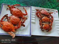 -宾朋海鲜饭庄(兴海路店)