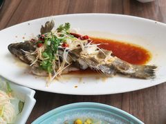 -今鲜源大酒店·中华餐饮名店(新湛路店)