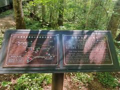 -五营红松林海景区