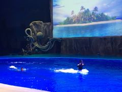 -华夏文旅海洋公园