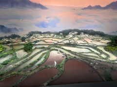 -中国湿地博物馆