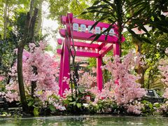 -海口观澜湖火山温泉谷