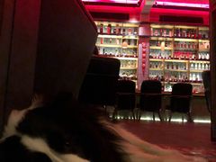 -饮湖威士忌鸡尾酒吧