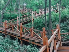 -大岭沟猕猴桃谷风景区