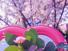 -上海外国语大学(虹口校区)