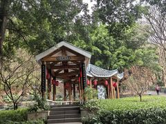 -金鸡山公园