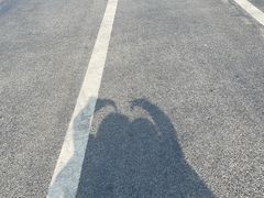 -盐城丹顶鹤湿地生态旅游区