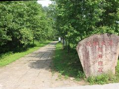 -五营国家森林公园