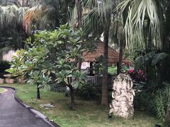 -厦门日月谷温泉渡假村