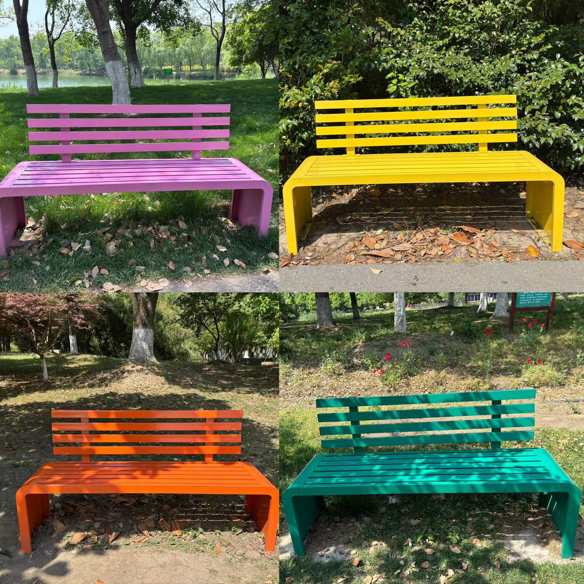 暮春时节,依然满园芬芳