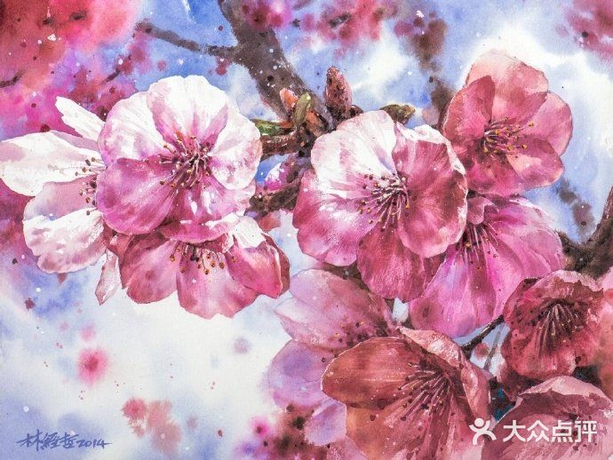 台湾画家林经哲樱花水彩画作品欣赏[礼花][礼花]
