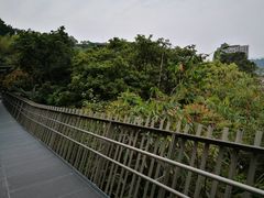 -梅峰山地公园