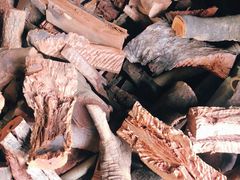 -鹅掂·大岭山烧鹅