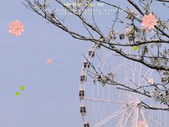 -顾村公园