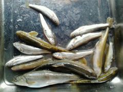 android_upload_pic-石卡雪山