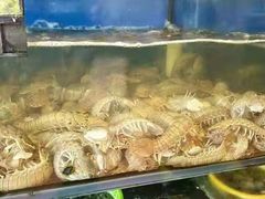 -渔中舟海鲜大排档(普陀沈家门店)
