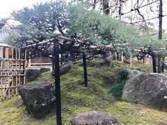 景观位-中村藤吉(本店)