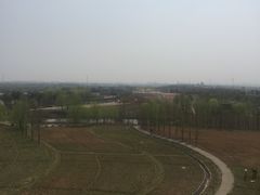 -杭州湾海上花田景区