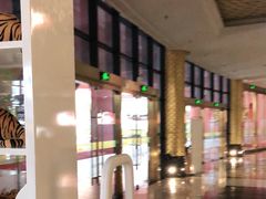 -灵玲国际马戏城