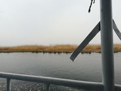 -白洋淀景区