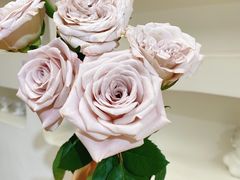 -森野花艺培训·企业团建活动沙龙