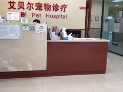 -艾贝尔宠物诊疗