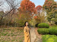 -洛阳市隋唐城遗址植物园