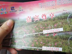 -东南花都花博园