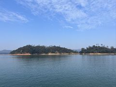 -广州市流溪河国家森林公园